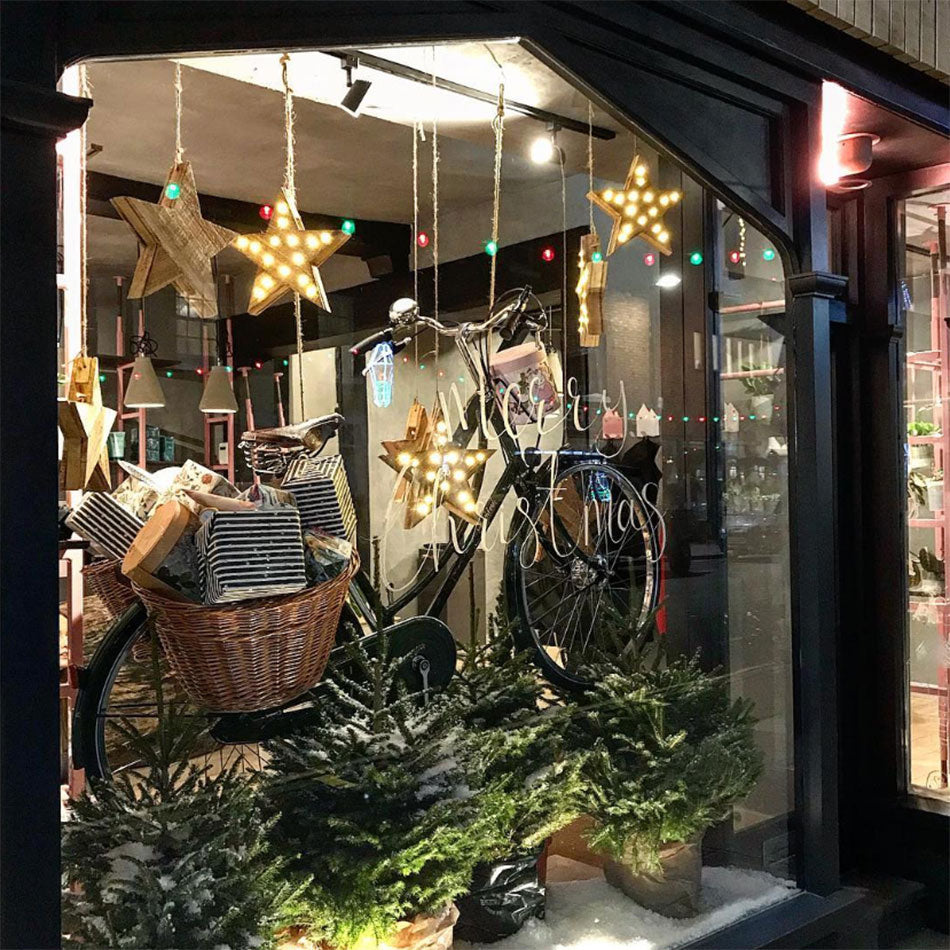 Christmas window display featuring a Pashley bike surrounded by mini firs trees and star lights.