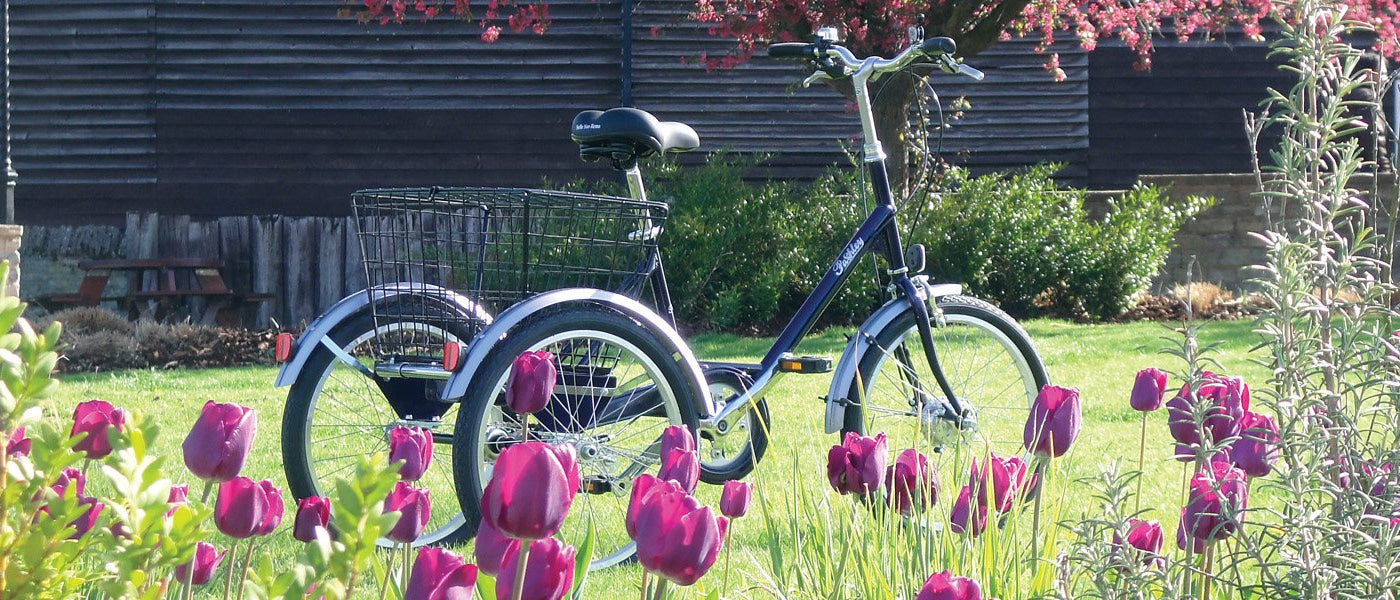 Pashley Picador Tricycle in Blue sitting behind a row of purple tulips in a park in Stratford-upon-Avon.