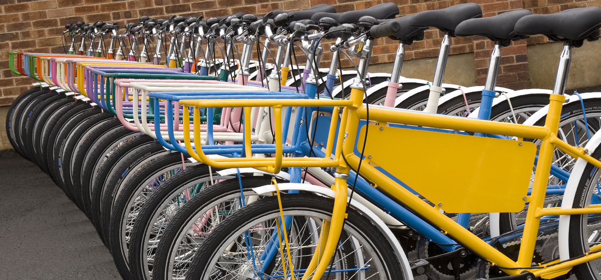 A close-up of a row of brightly multi-coloured Pashley cargo bikes with advertising boards.