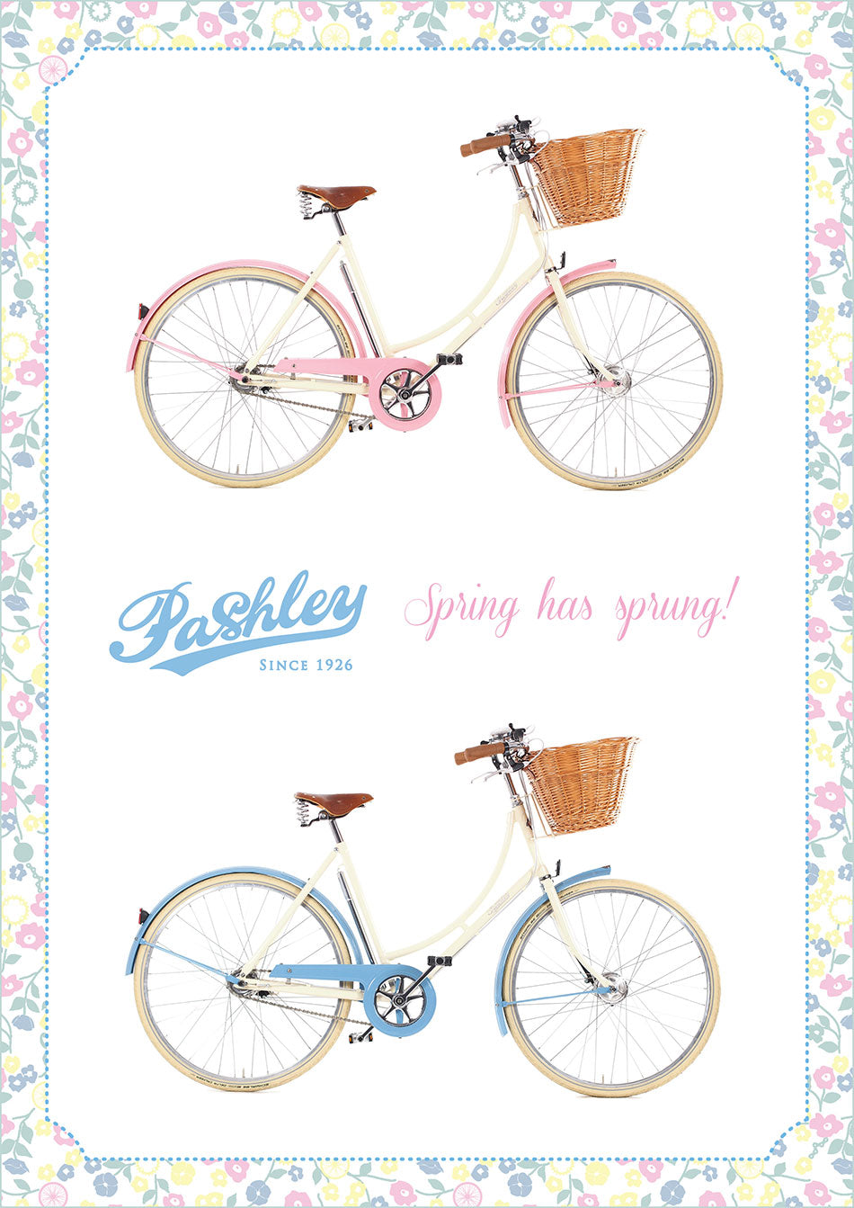 A poster of the Pashley Sonnet Springtime with a floral printed border, in hues of pink and blue.