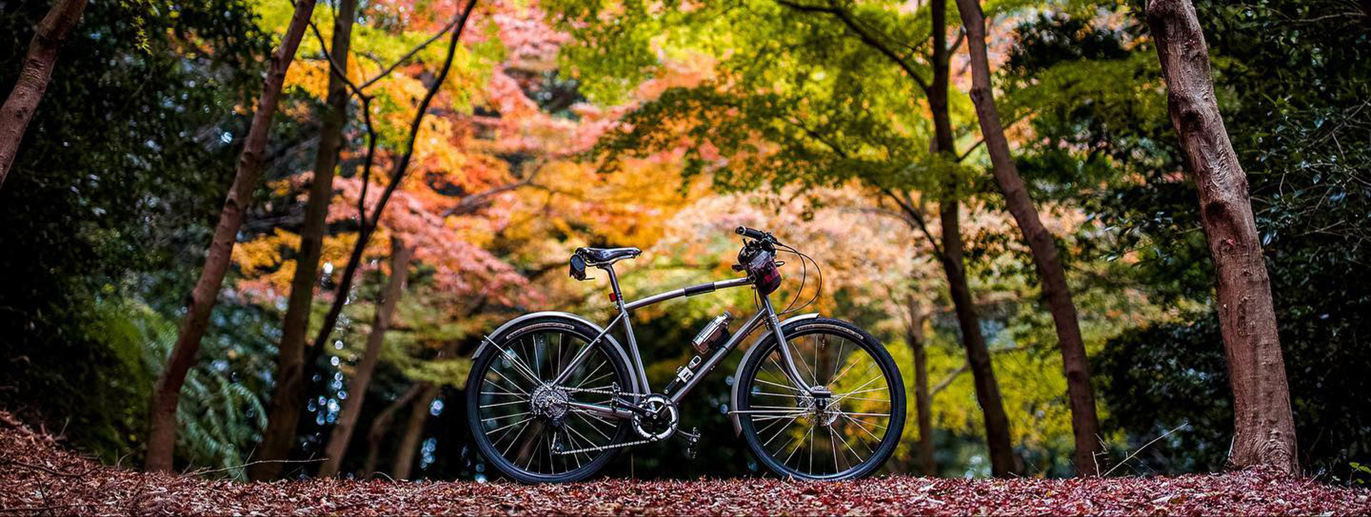 A silver classic bike sat within a Japanese forest full of beautiful autumn coloured trees.