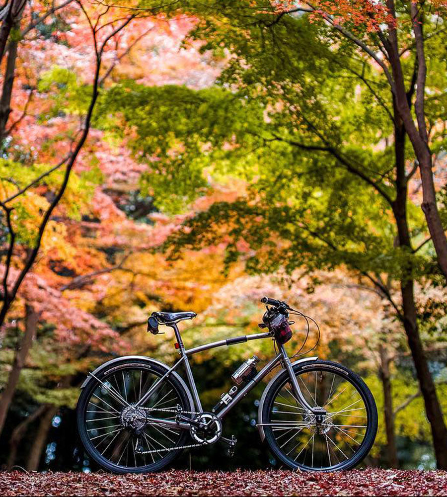 A silver classic bike sat within a Japanese forest full of beautiful autumn coloured trees.